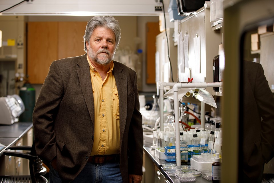 Darren Rumbold in the lab